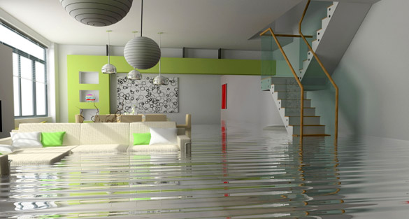 Water Damage Repair